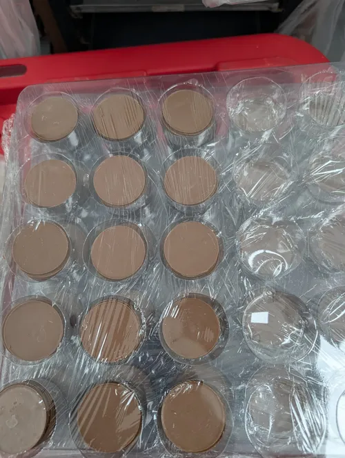 Blister Moneda Chocolate Leche 250 piezas