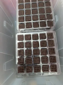 Blister Rejilla de chocolate 200 piezas